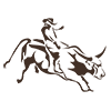 Bull Ride
